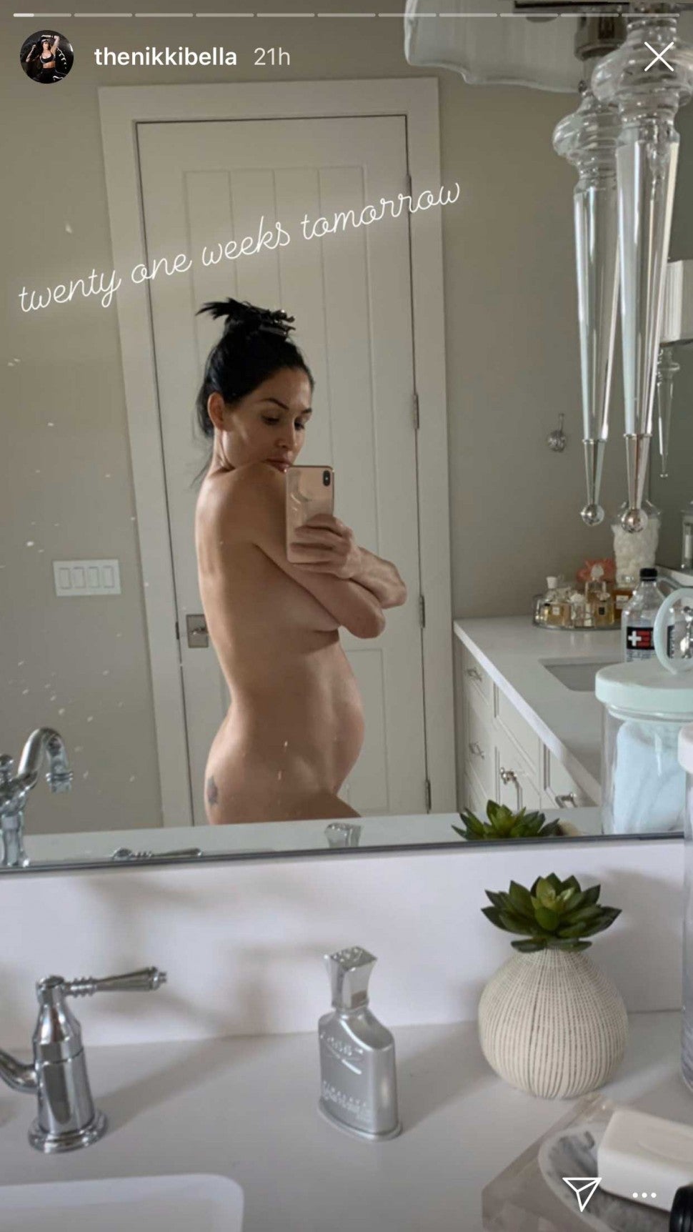 alessandra franco recommends naked nikki bella pic