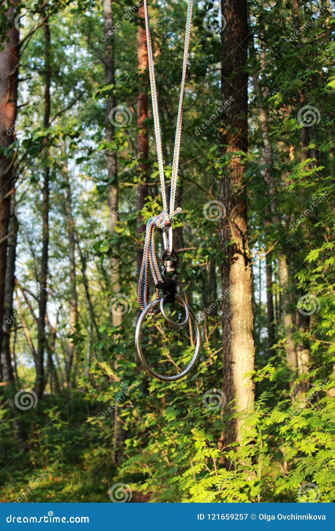 clara magalhaes add photo forest bondage