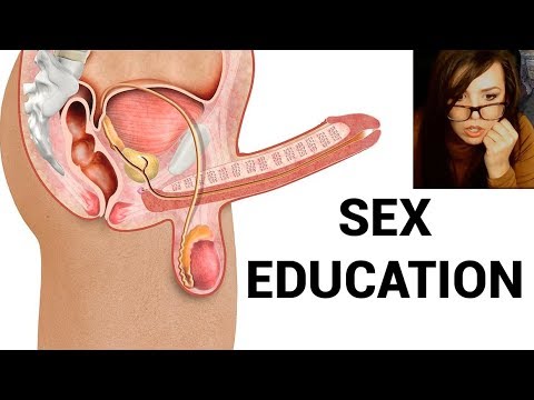 amanda salomon recommends Educational Sex Videos