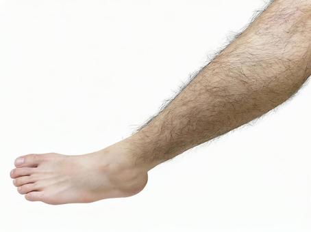 benjamin heine recommends hairy male legs pics pic