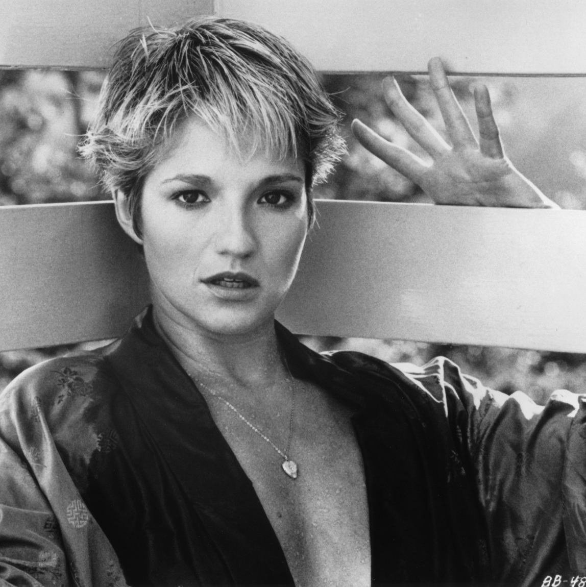 blair hoover add photo ellen barkin sexy