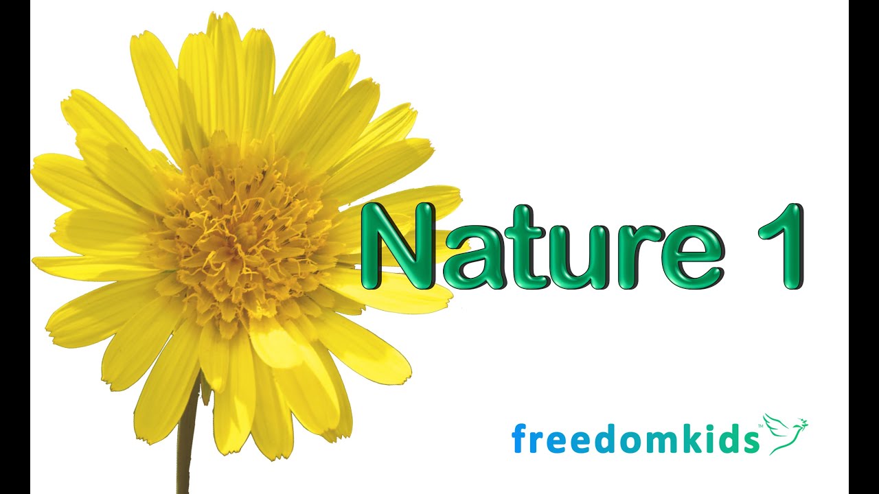 bruce lundgren recommends Naturist Freedom Videos