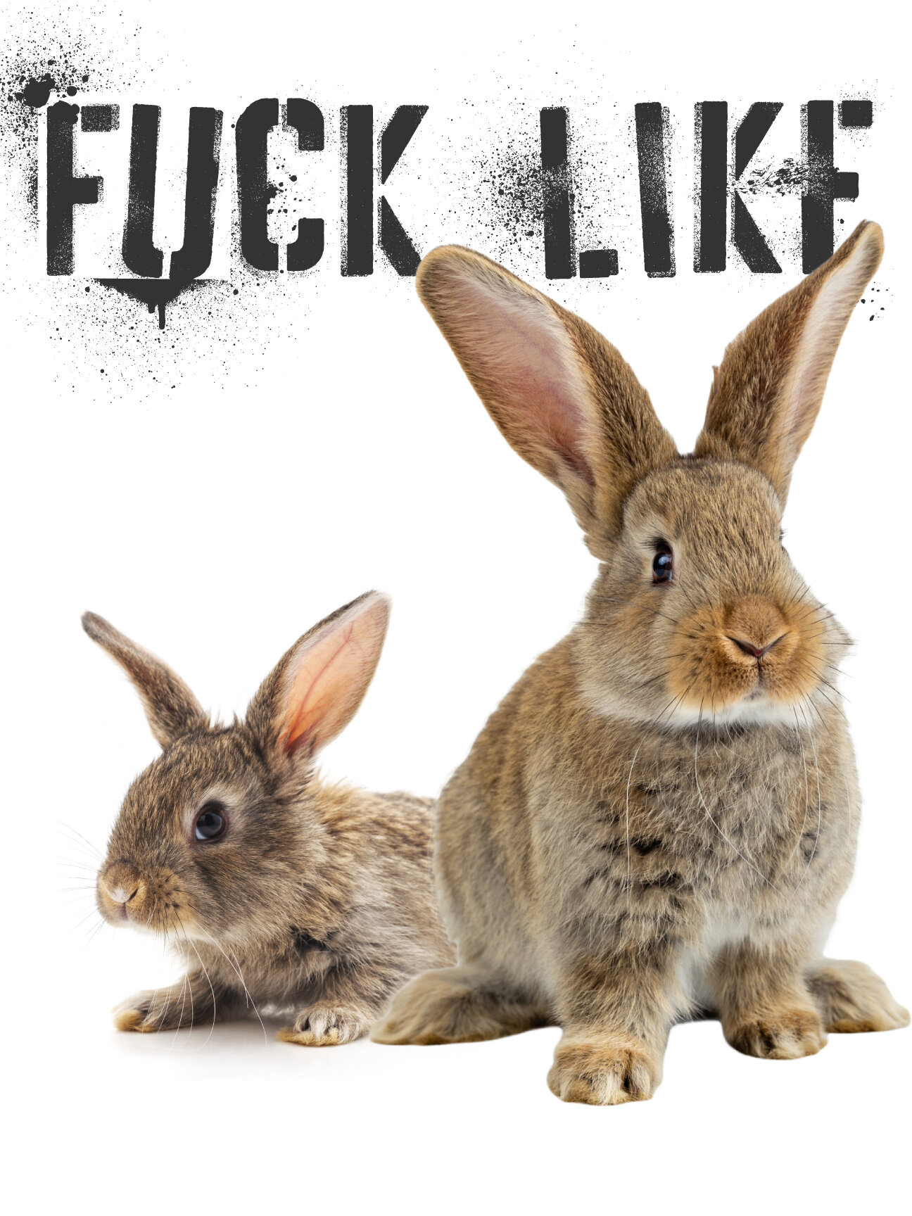 danielle rosenow recommends fucking like rabbits pic