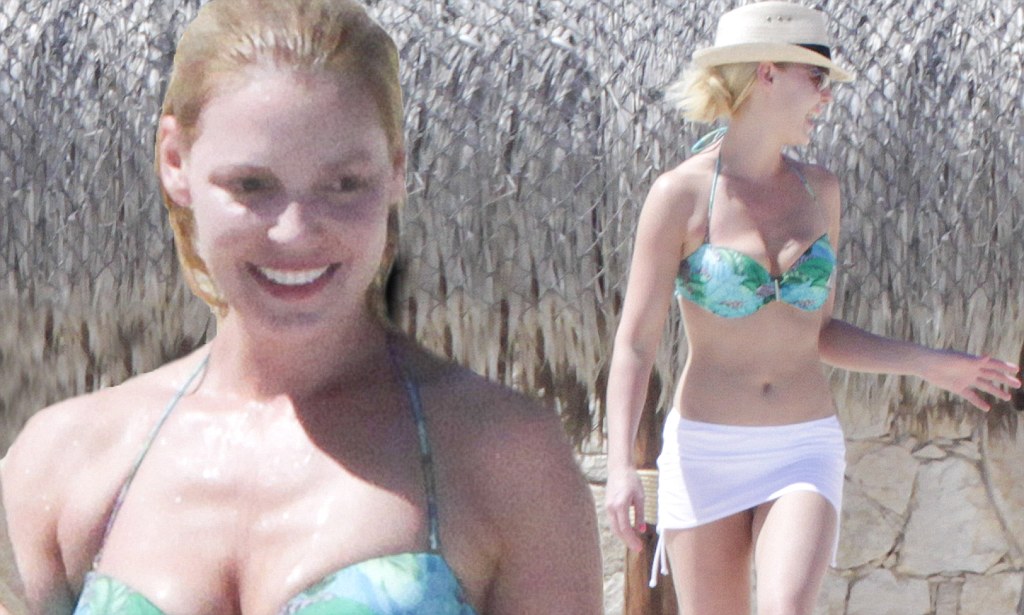 Best of Katherine heigl bikini