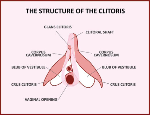 Best of Largest clit