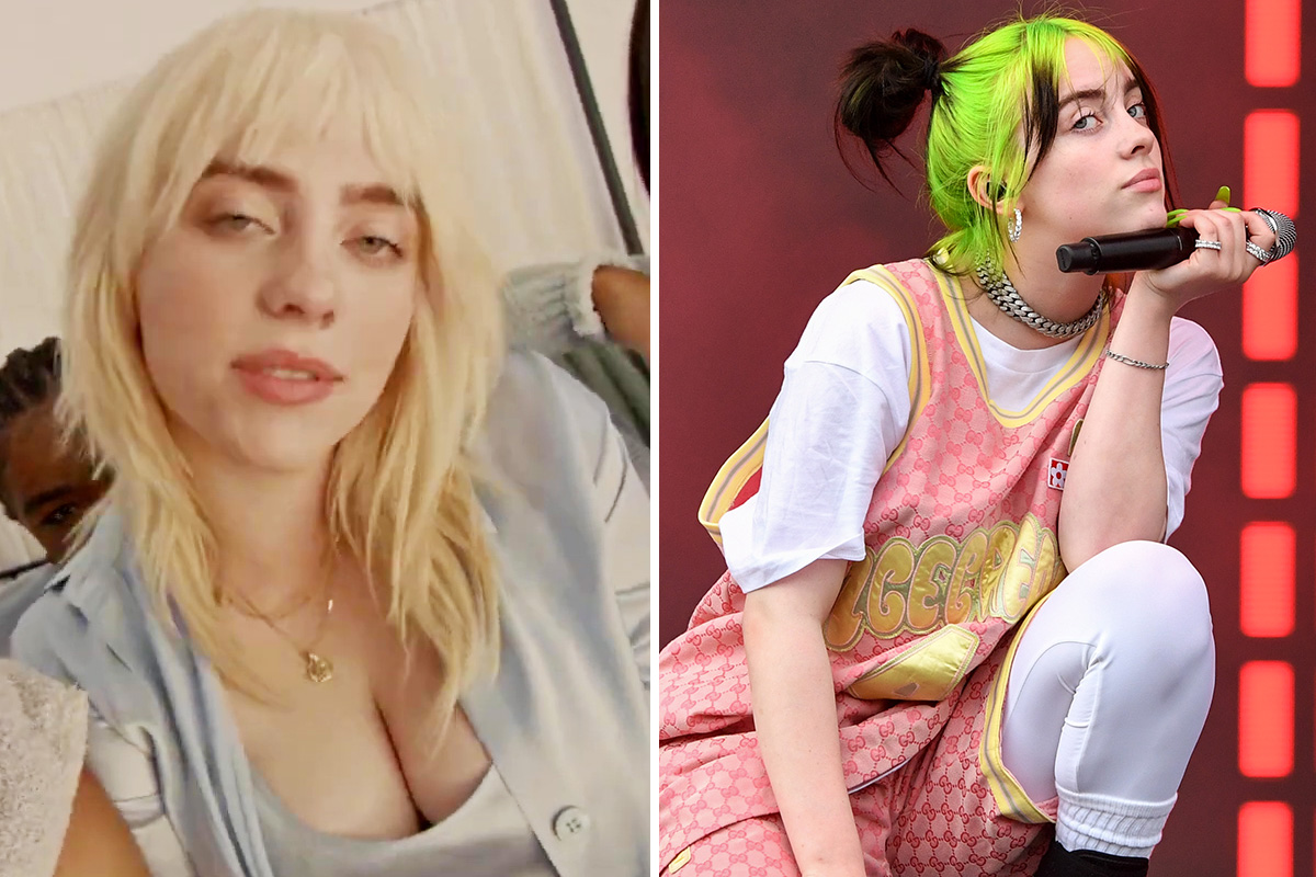 andre mas recommends billie eilish boob job pic