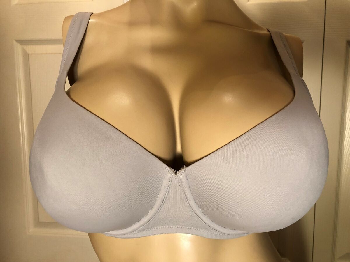 apple guison recommends 38dd Tits