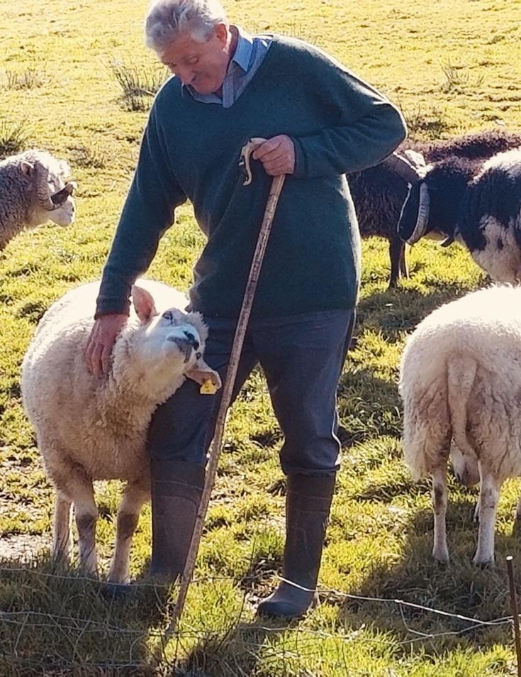 deirdre rowan recommends Man Screwing Sheep