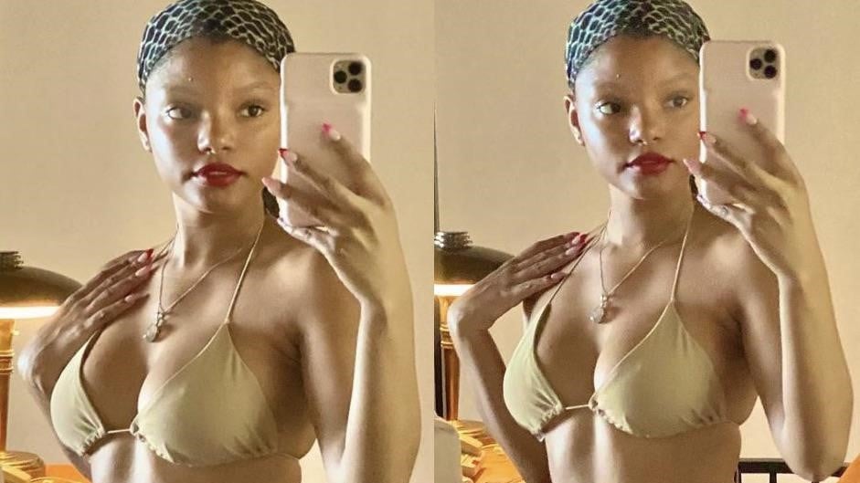 doug haslett recommends halle bailey nude pic