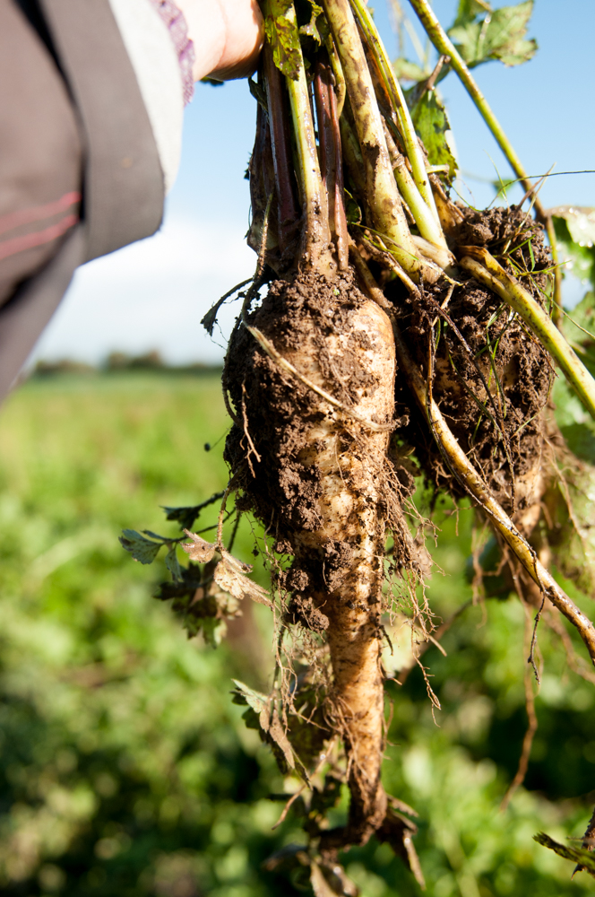 chris gagan recommends dirty tuber pic