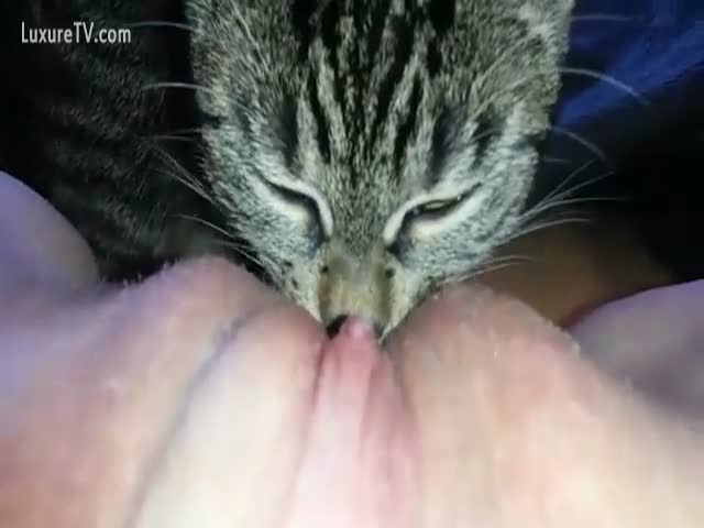 ben trites recommends cat pussy lick pic