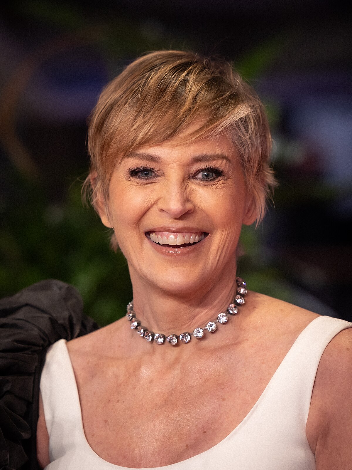 sharon stone porn