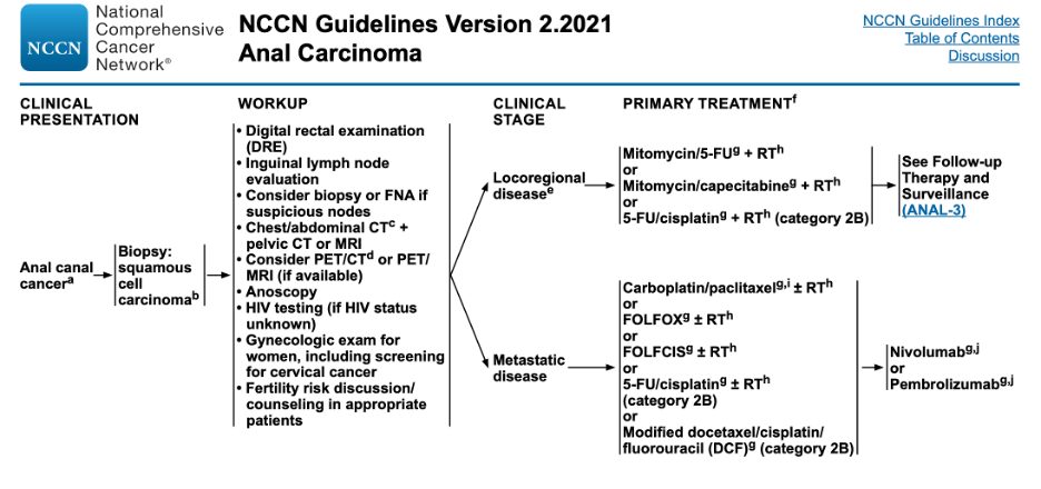 diana reinecke recommends Anal Category