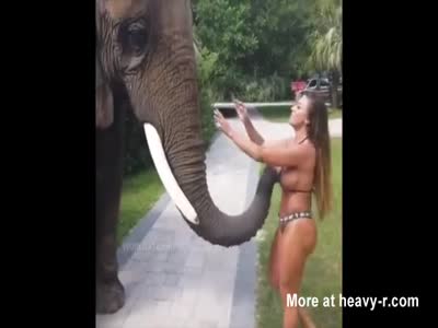 debra gayle recommends elphant porn pic