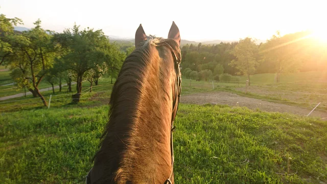 ashley starling add photo pov riding