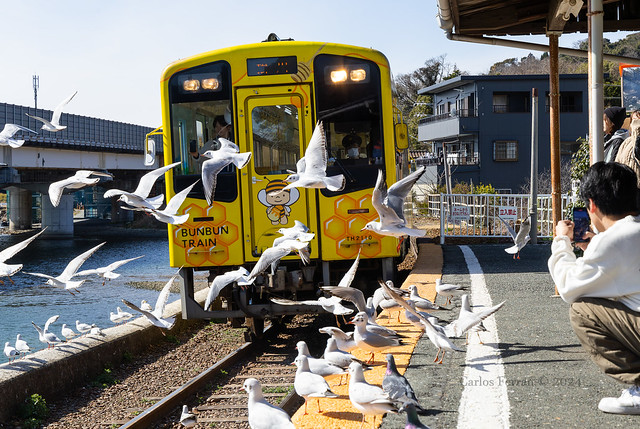 claude ward add japanese train grouping photo