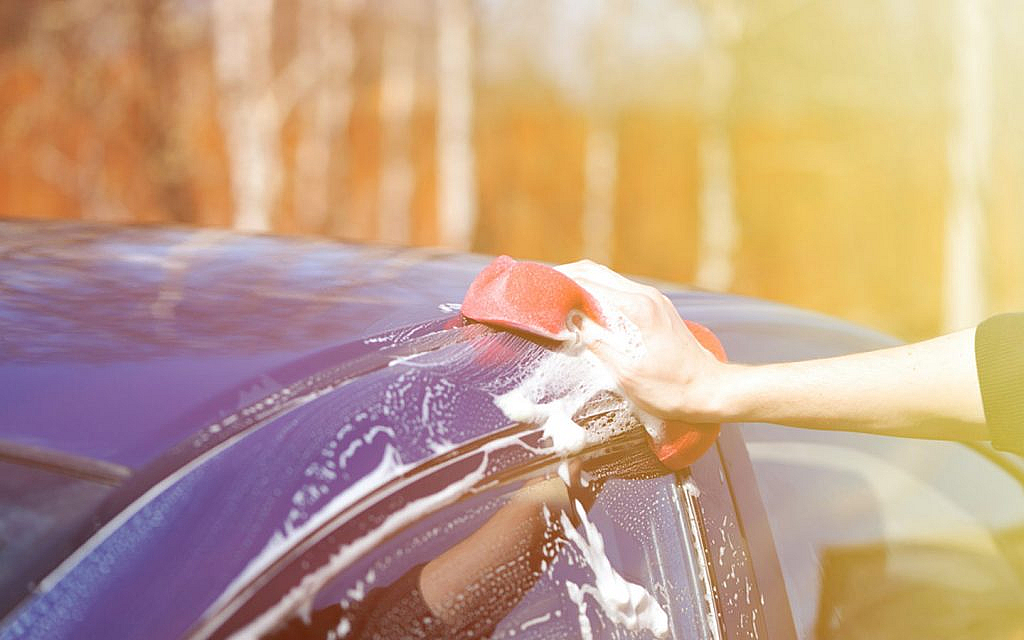 dana mcdougall recommends public agent car washer pic