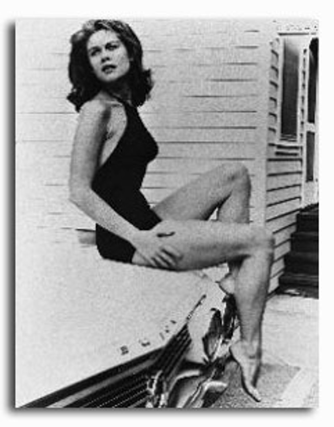 bob wisor recommends elizabeth montgomery pics pic