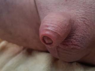 Best of Small hairless cocks