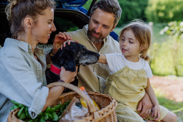 stroking the family