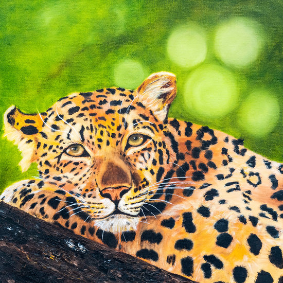 bianca jaguar