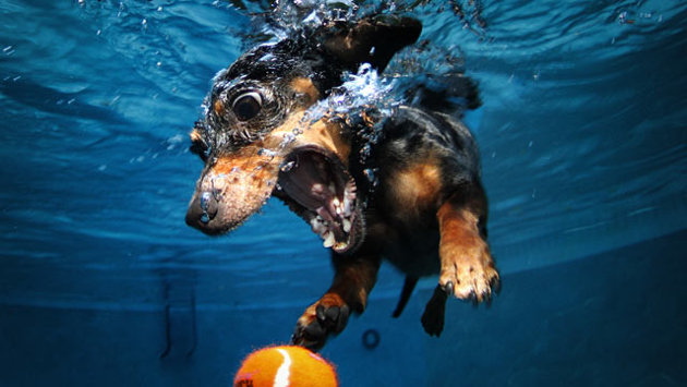 rachel rivers underwater