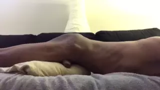 Best of Man pillow humping