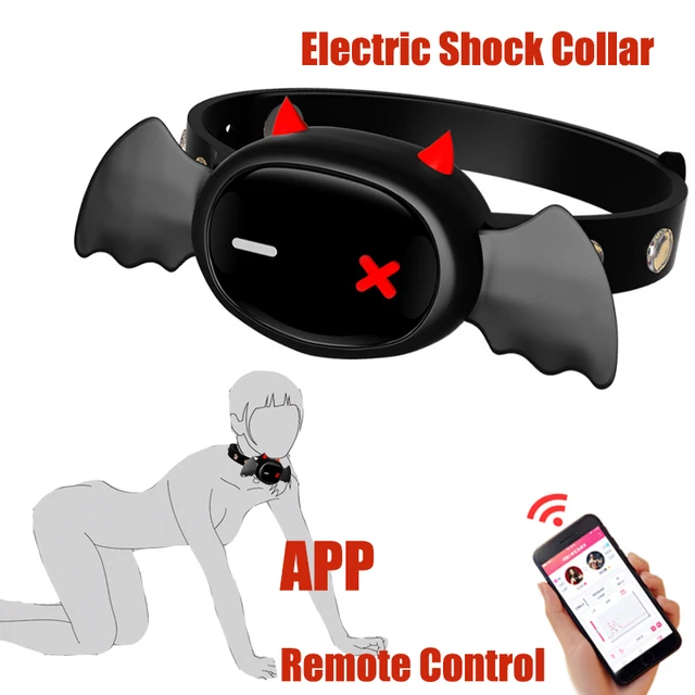 ali zeitawi add photo shock collar bdsm