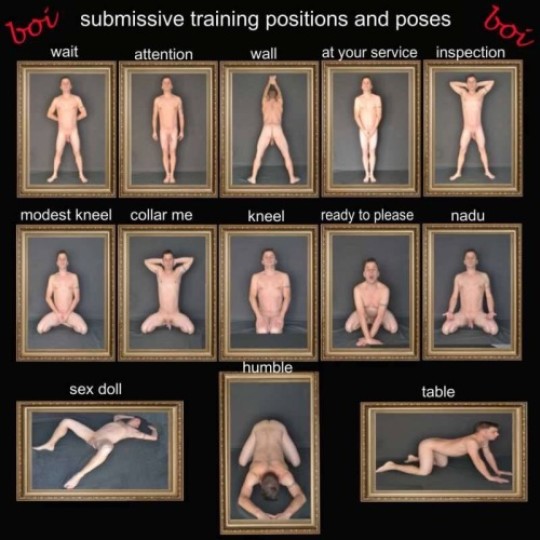 aaron zarb recommends bdsm slave positions pic