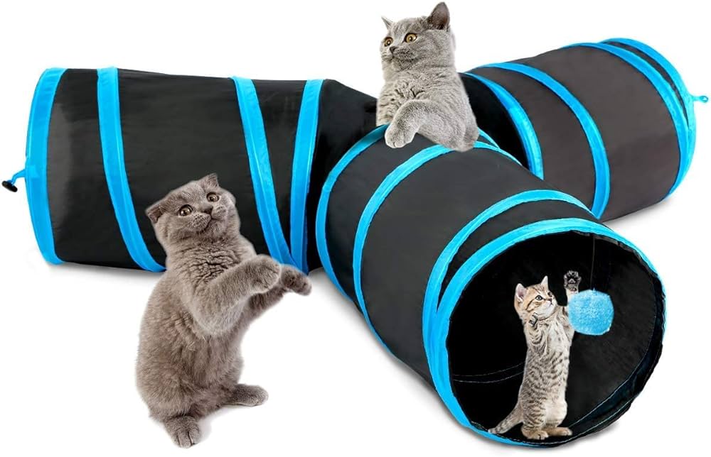 beto pina recommends Tube Kitty