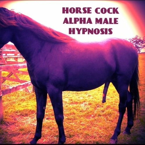 benjiman smith recommends Hypnotized Cock