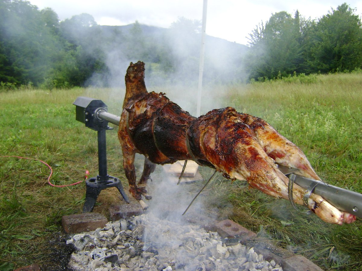 Best of Spit roasted woman