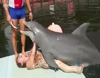 chayanne zapata recommends Man Fucks Dolphin