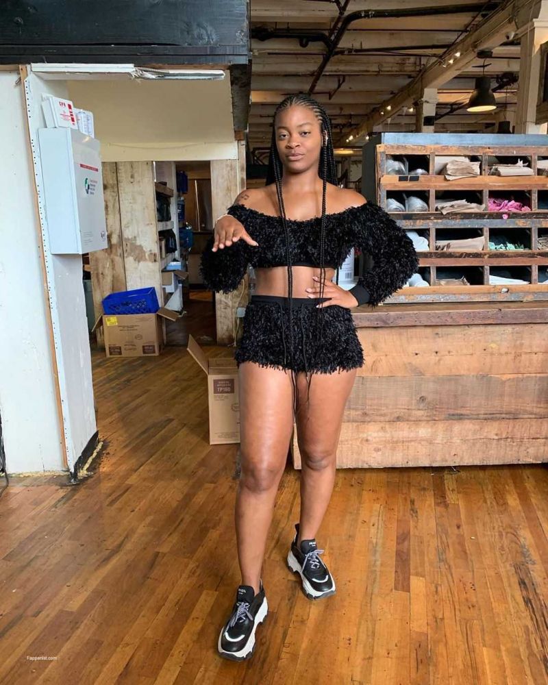 brenda knick recommends ari lennox nude pic