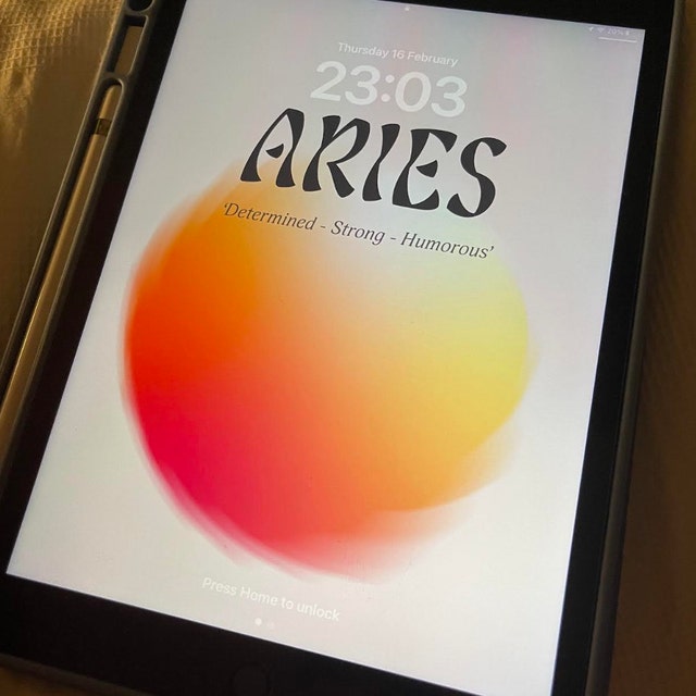 andy wehler add aries stelle photo