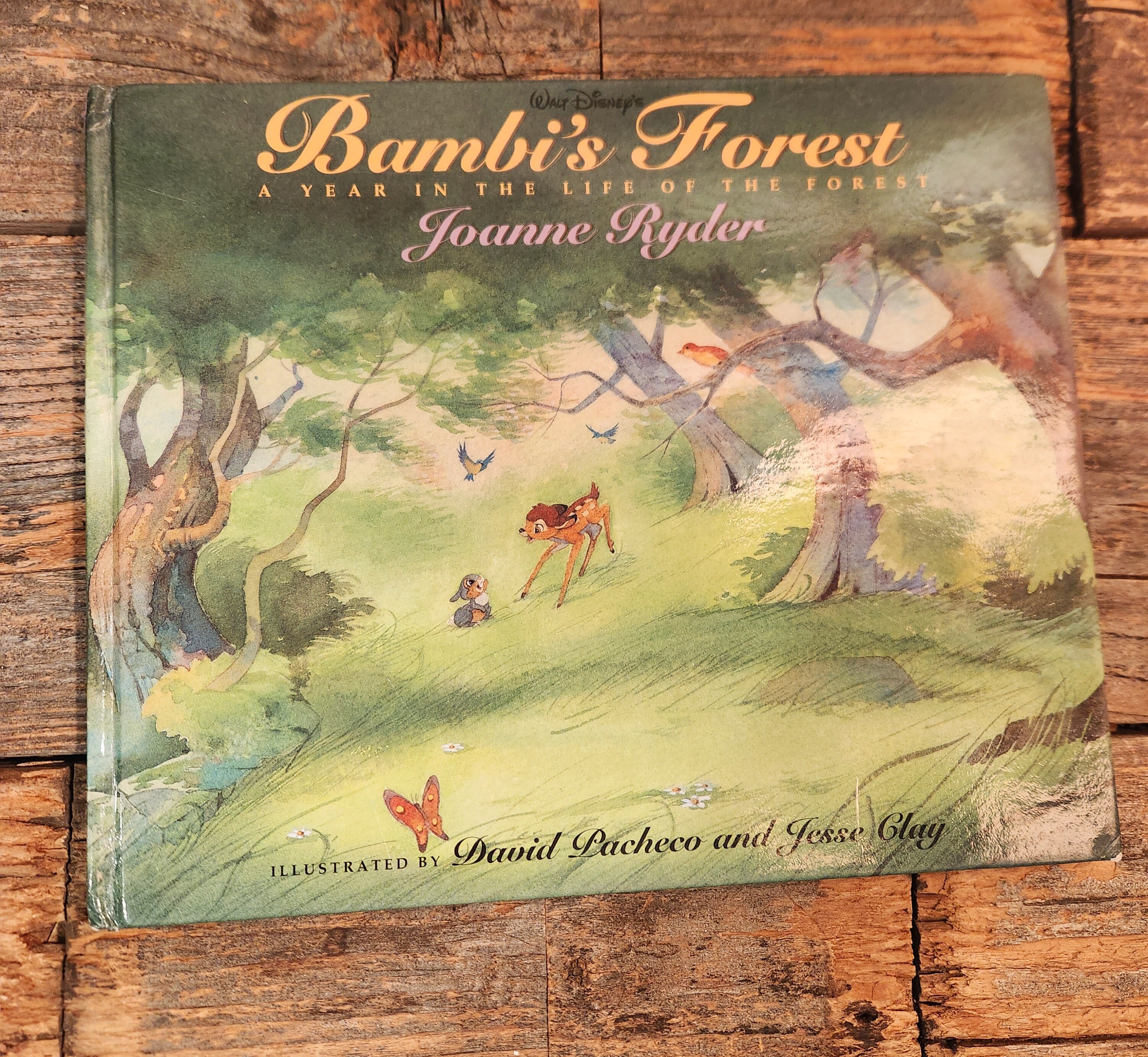 bethann l ommundson recommends Bambiis Forest