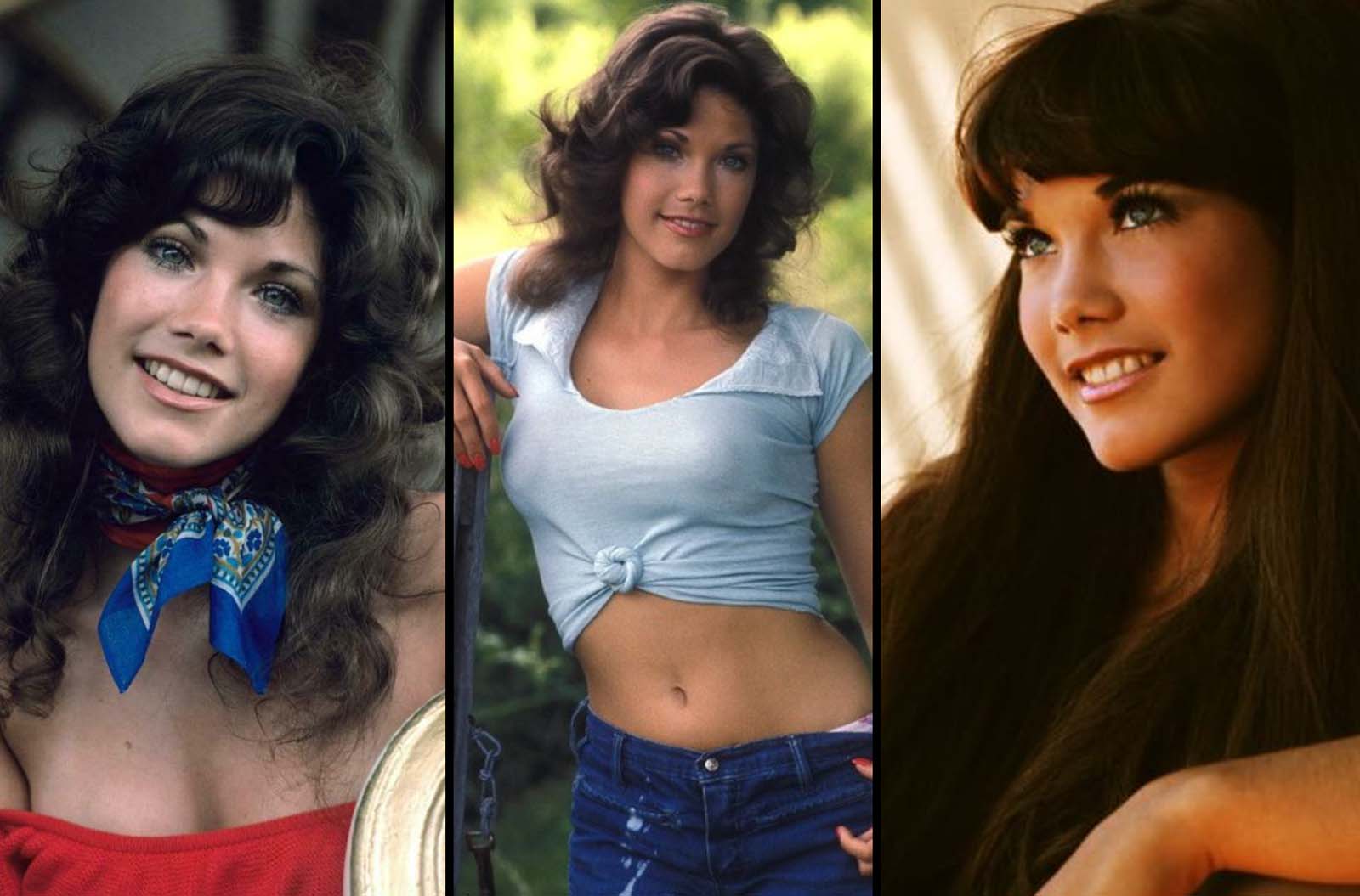 bob fling recommends barbi benton hot pic