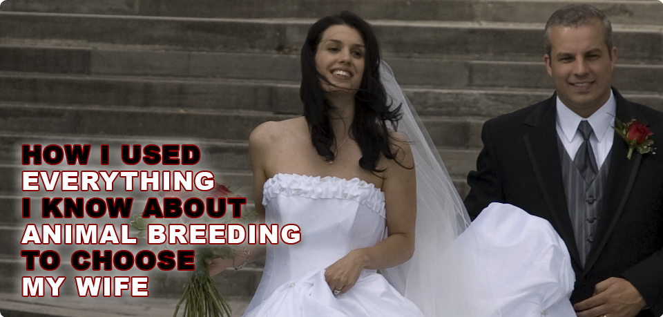 christina scally recommends Breeding White Wives