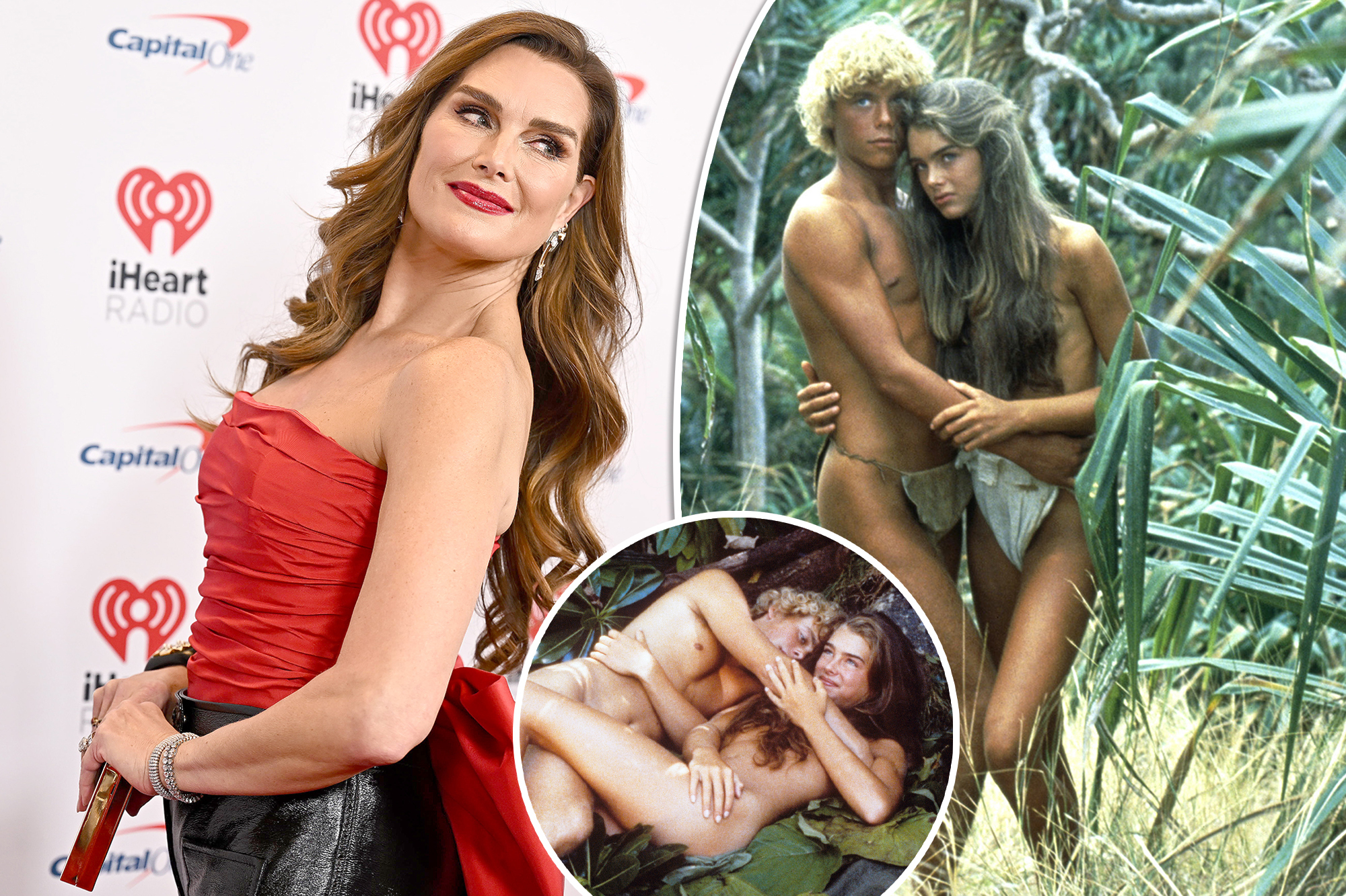 alisha aziz recommends brooke shields nude photos pic