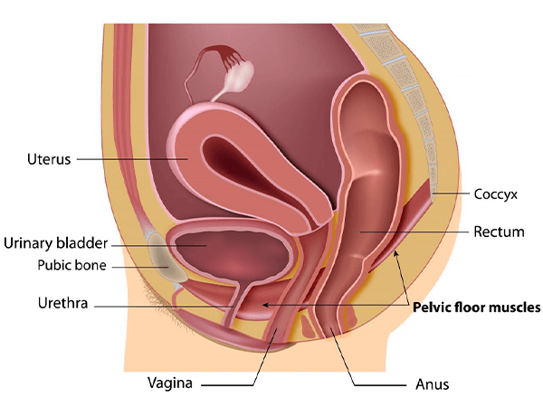 cathy siegmund recommends brutal pain porn pic