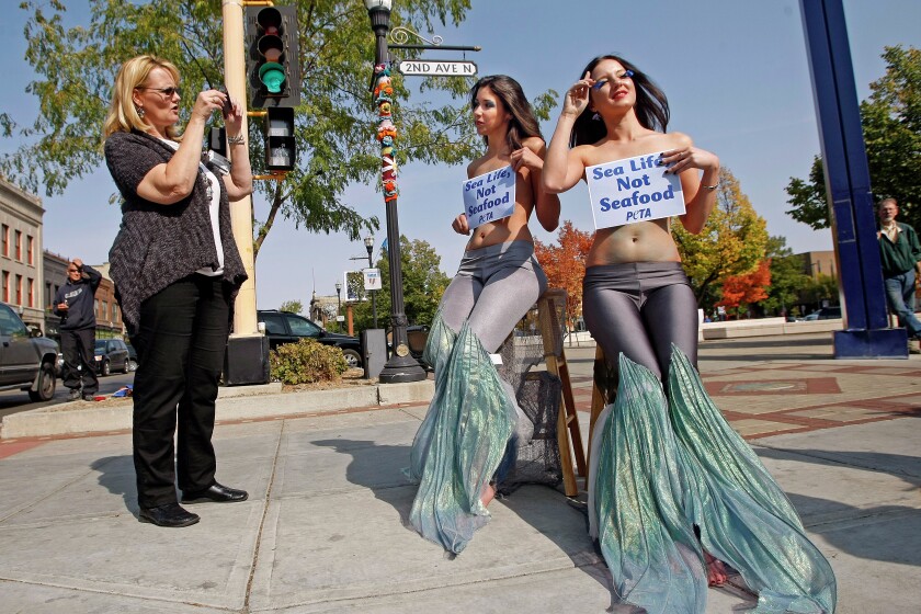 Topless Mermaids redhead sluts