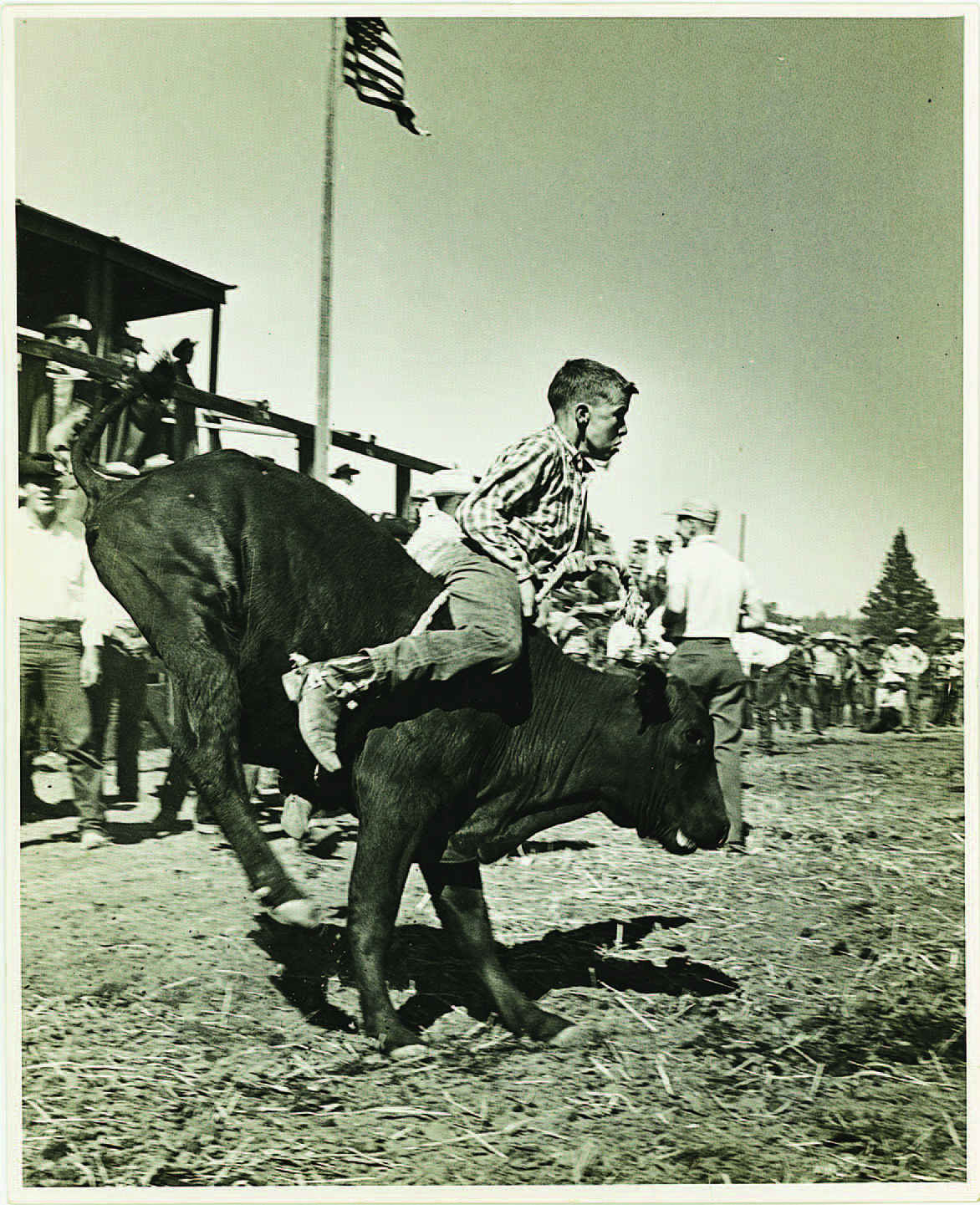 anu aujla recommends tommy king riding pic