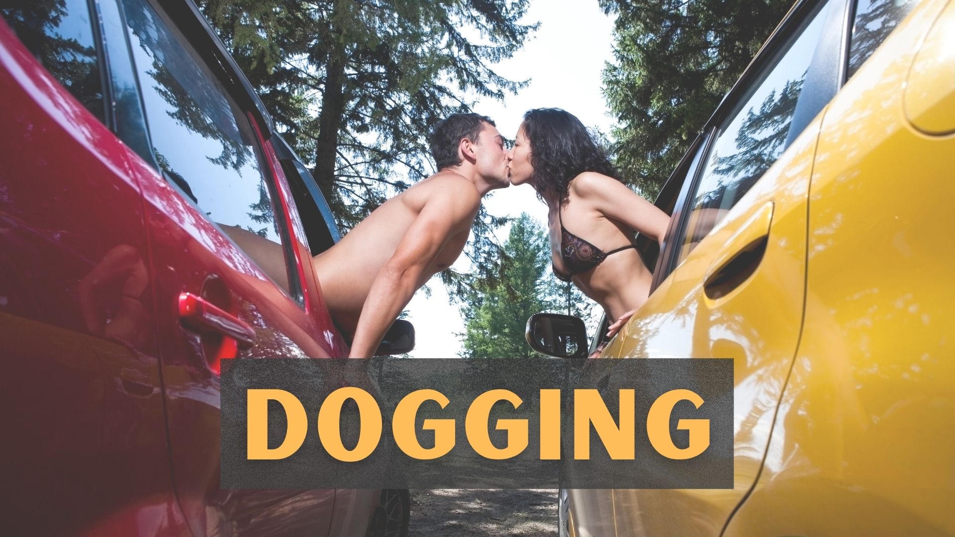 dogging kink