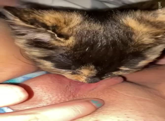 angel liyana recommends Cat Pussy Lick