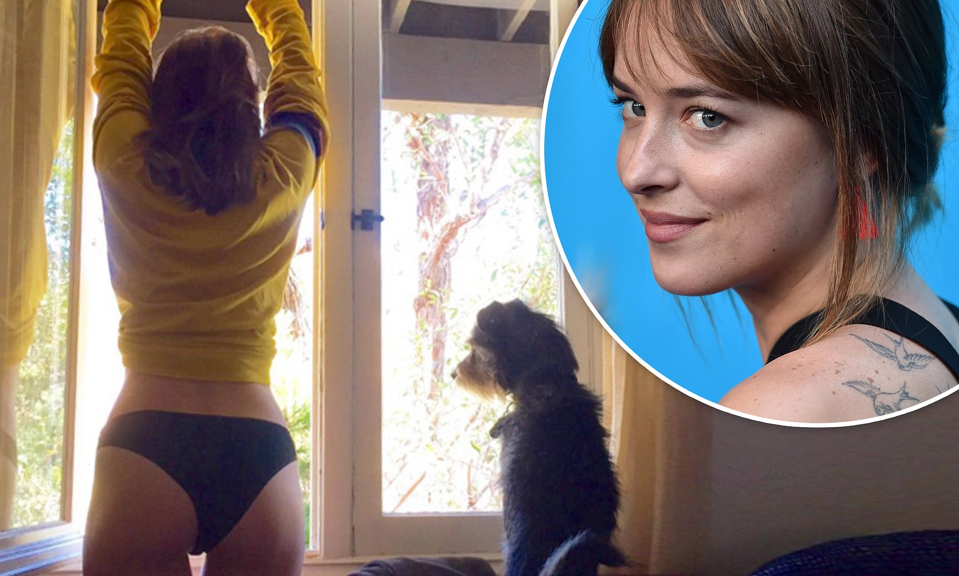 david hagler recommends dakota johnson butt pic