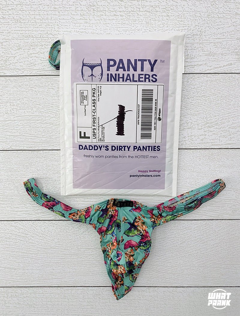 billie hollis recommends Dirty Panty Sniffers