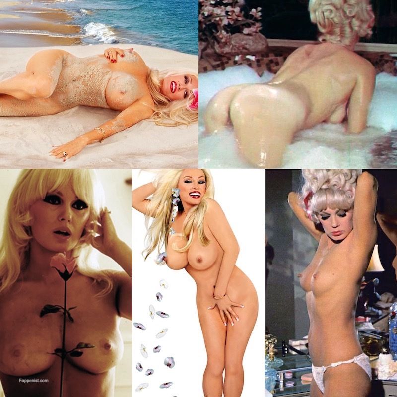 aly shaikh recommends Mamie Van Doren Nude