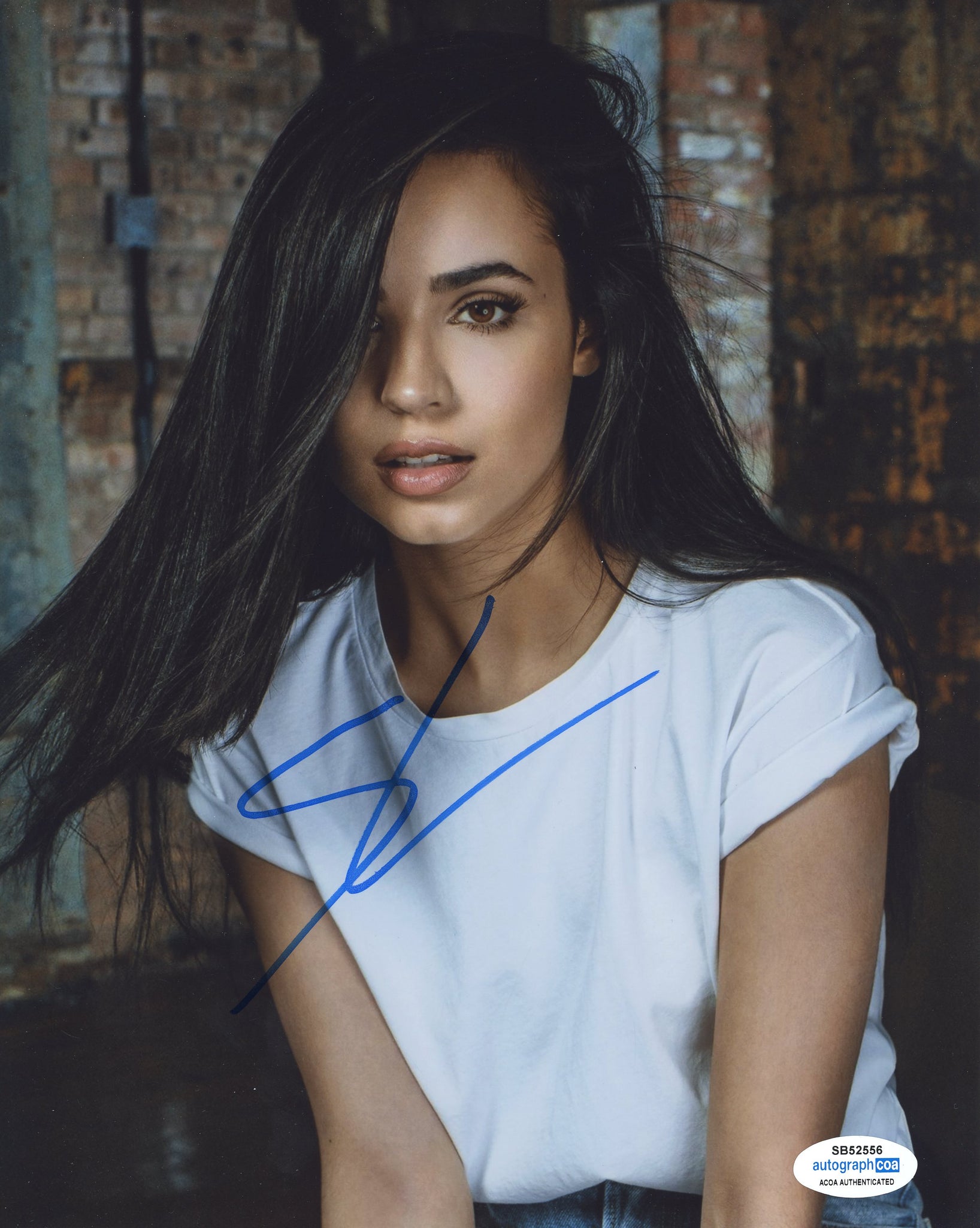 Sofia Carson Sexy twinks com