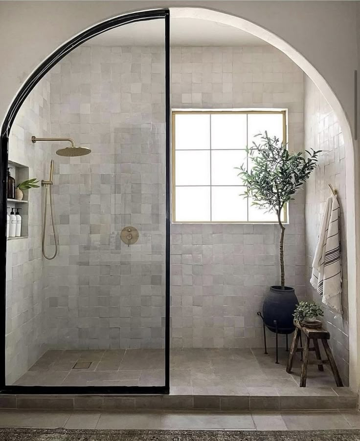 chaz butler recommends Olive Glass Shower