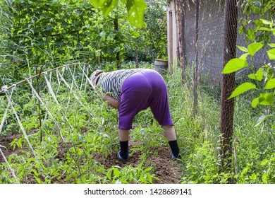 albert hon add photo big booty old ladies